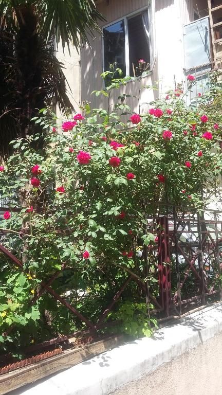 Гостевой дом Joniskera Тбилиси-75