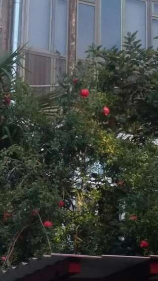 Гостевой дом Joniskera Тбилиси Двухместный номер Делюкс с 1 кроватью и дополнительной кроватью-48