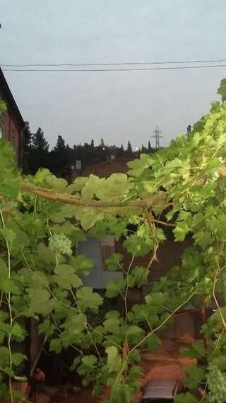 Гостевой дом Joniskera Тбилиси Двухместный номер Делюкс с 1 кроватью и дополнительной кроватью-52