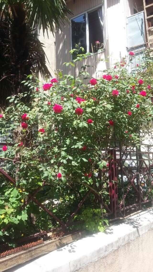 Гостевой дом Joniskera Тбилиси-74