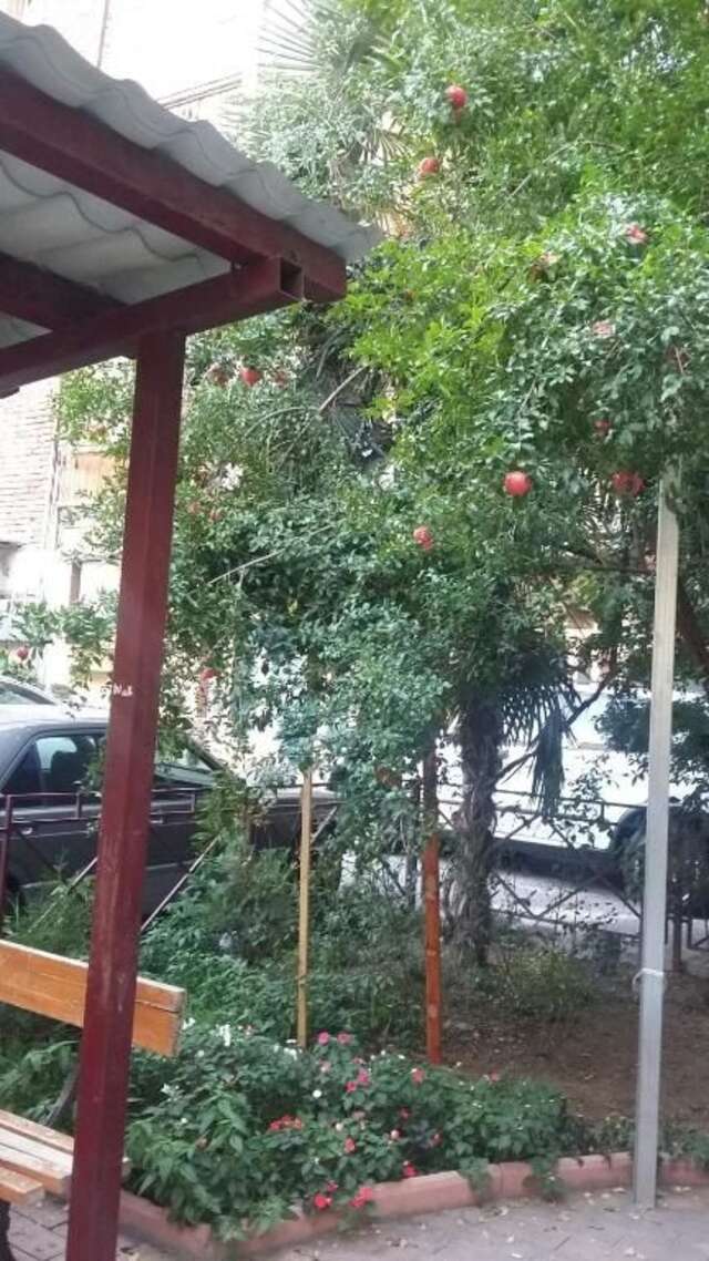 Гостевой дом Joniskera Тбилиси-75