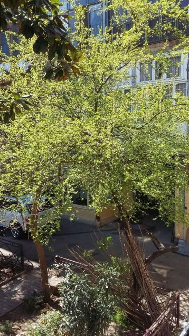 Гостевой дом Joniskera Тбилиси-76