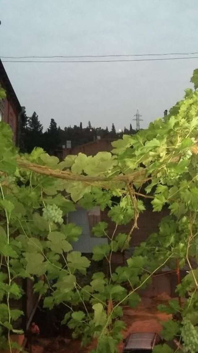 Гостевой дом Joniskera Тбилиси-81